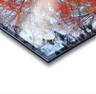 Foliage Acrylic print