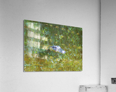 Gator Florida Everglades  Acrylic Print