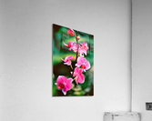 Flower Acrylic Print