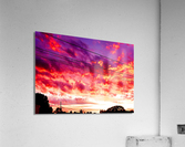 P1000367 Acrylic Print