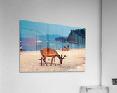181a   Copy Acrylic Print