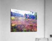 Landscape Acrylic Print