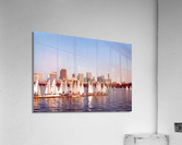 61a Acrylic Print