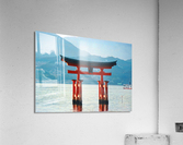 184 Acrylic Print