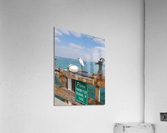 DSC 0023   Copy Acrylic Print