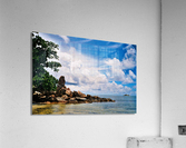 SDg   Copy Acrylic Print