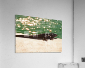 81870009 Acrylic Print