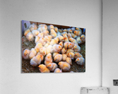 125 edited 1 Acrylic Print