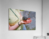 etry Acrylic Print