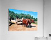 29a edited 2   Copy Acrylic Print