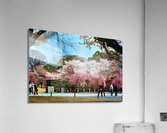 136 Acrylic Print