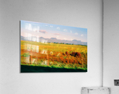 34 Acrylic Print