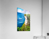 24d Acrylic Print