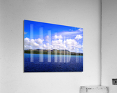 1   Copys Acrylic Print