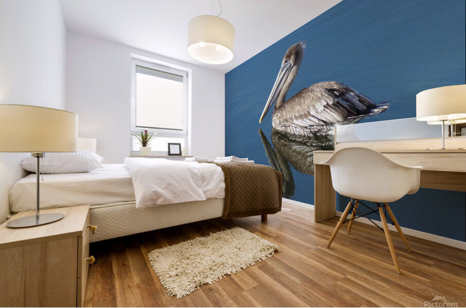 Pelican  Mural print