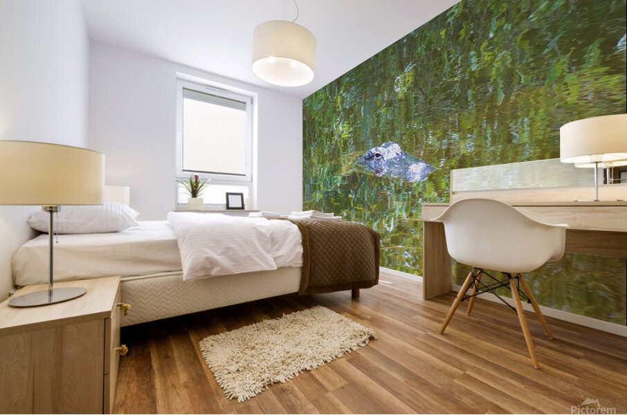 Gator Florida Everglades  Mural print