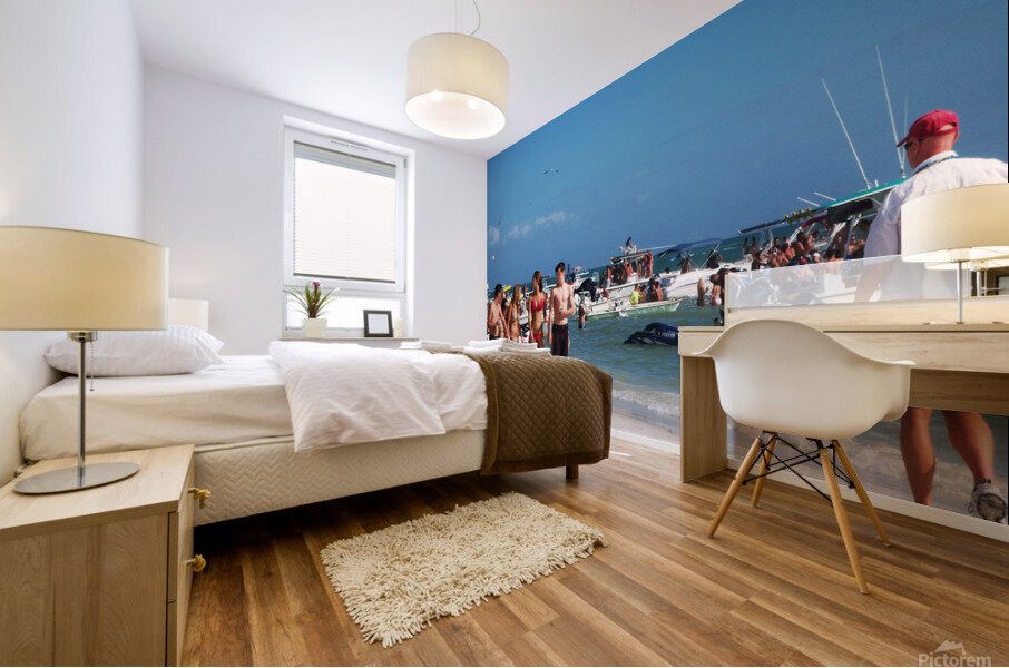 100 0958   Copy Mural print