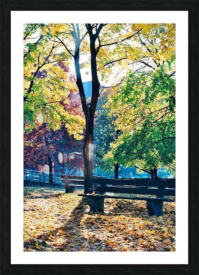 Foliage Picture Frame print