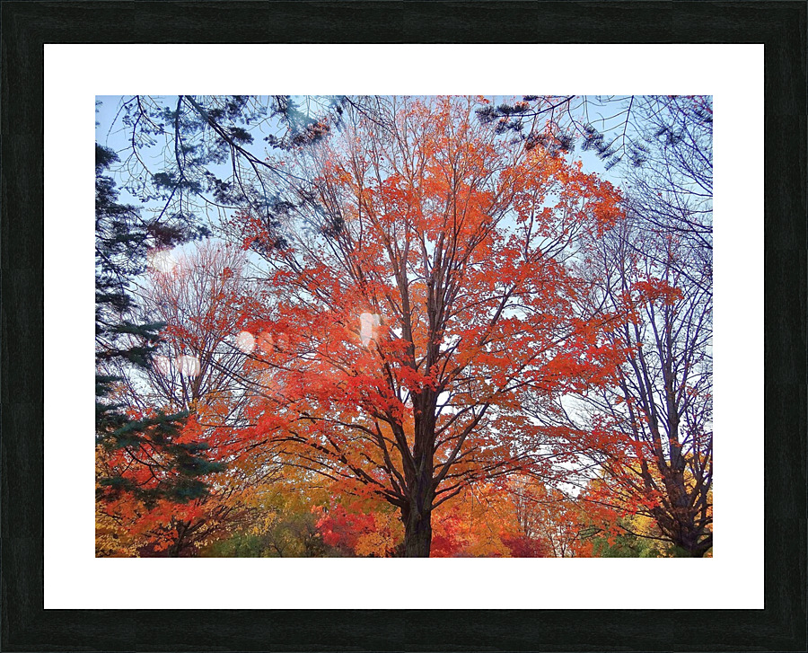 Foliage Picture Frame print