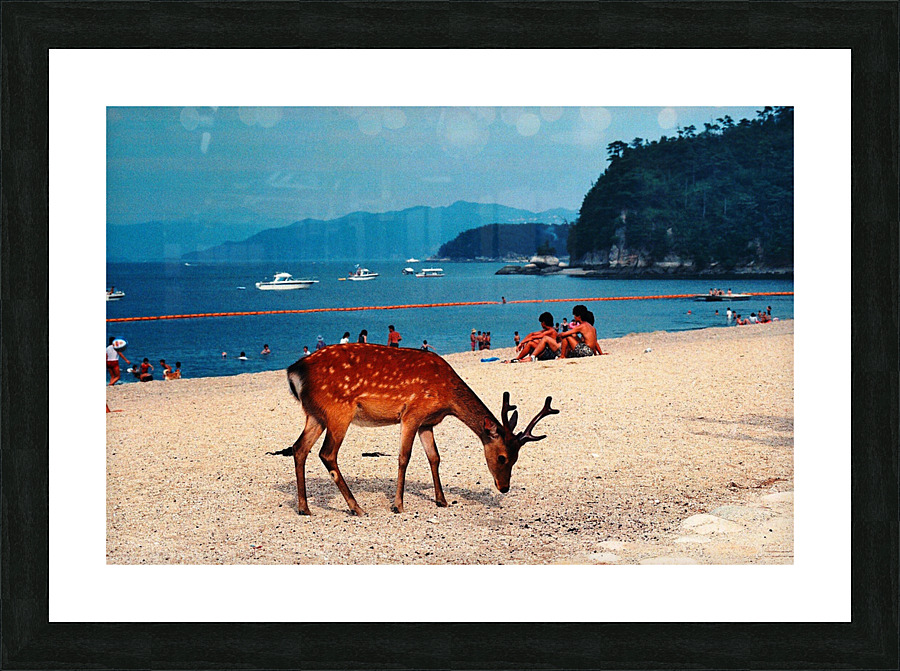 181a   Copy Picture Frame print
