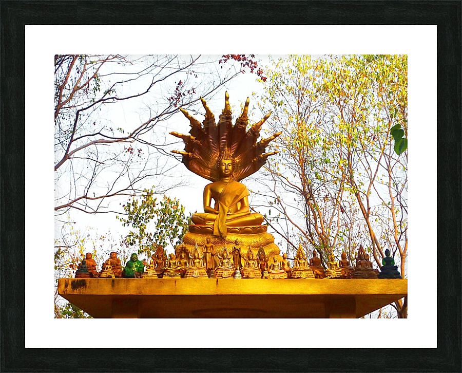 P1010953   Copy Picture Frame print