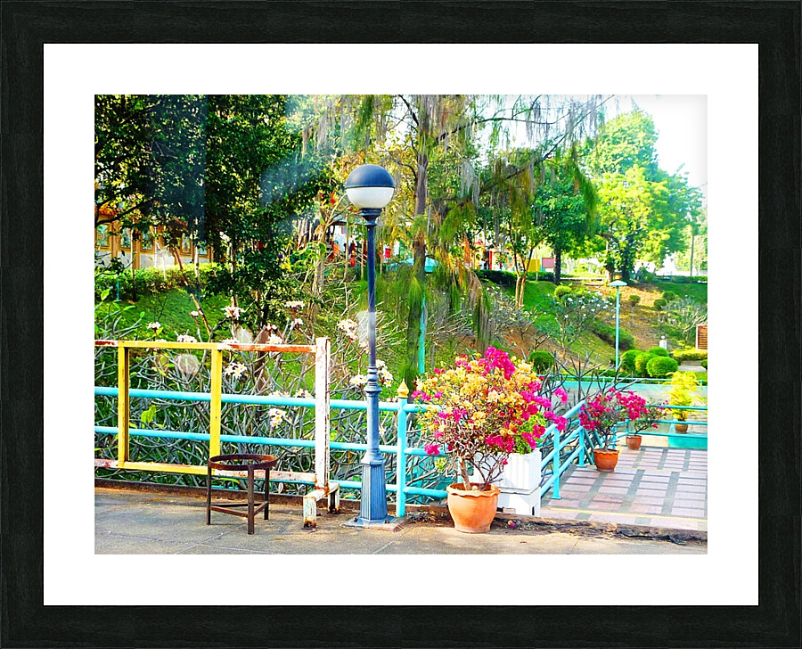 P1010818   Copy Picture Frame print