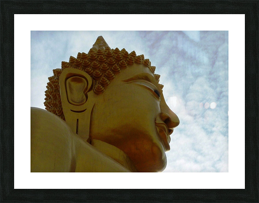 P1010645   Copy Picture Frame print