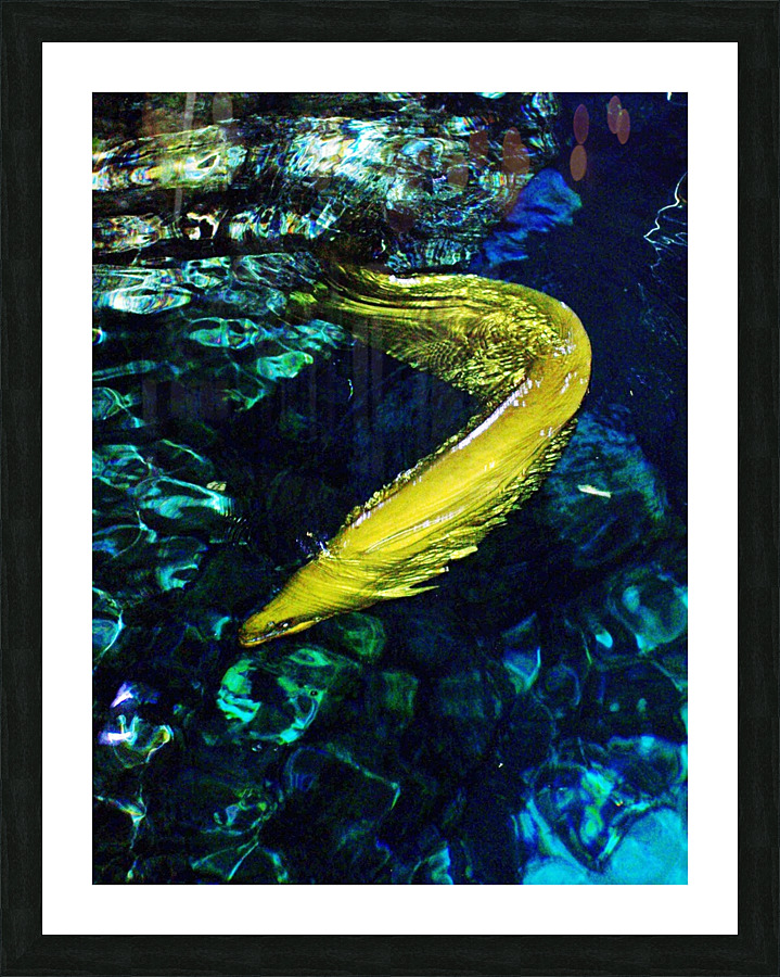 100 0359   Copy Picture Frame print