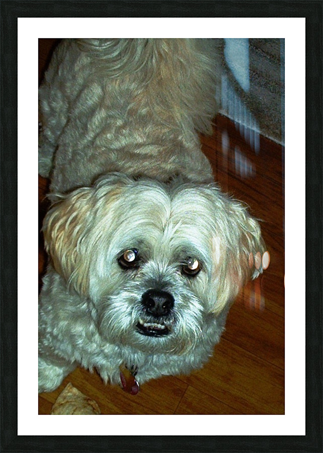 IM000475   Copy Picture Frame print