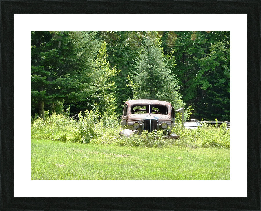 P1000366   Copy Picture Frame print