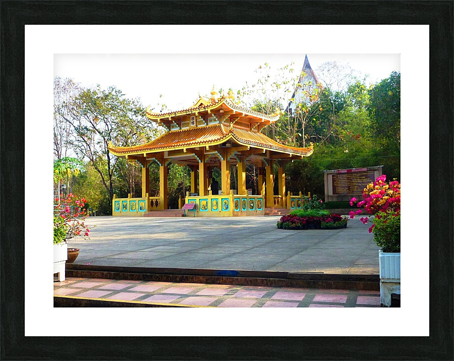 P1010831 Picture Frame print