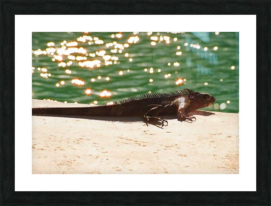 81870009 Picture Frame print