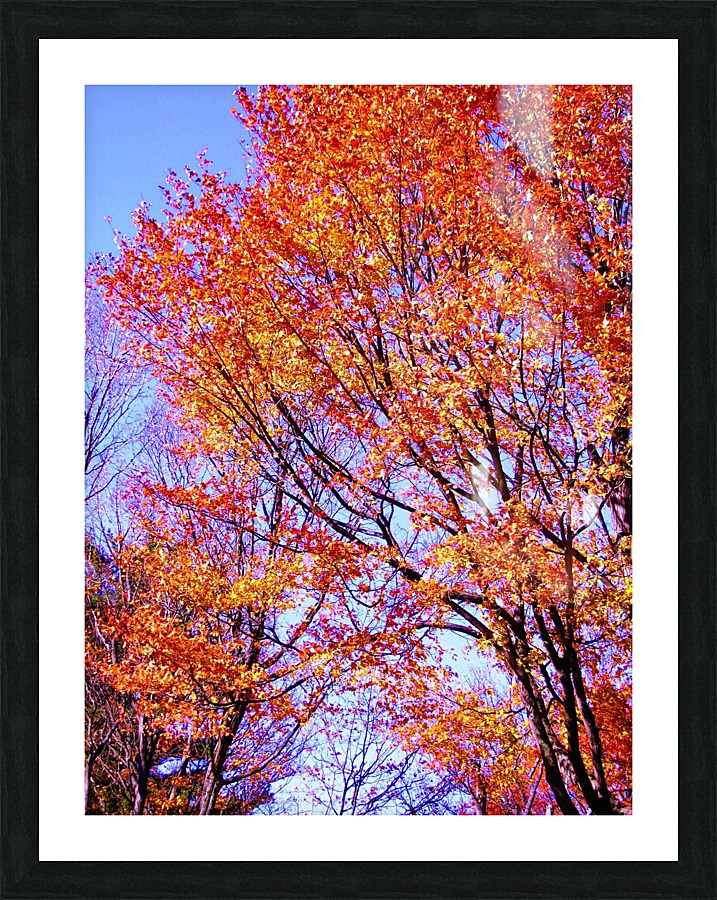 IMGP0419   Copy Picture Frame print