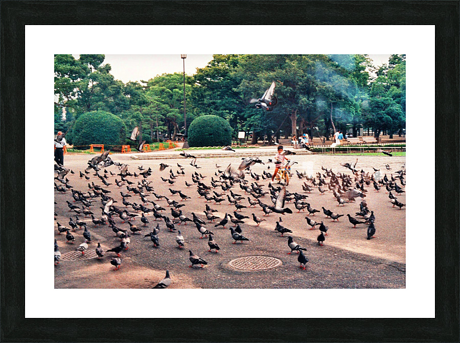 208 Picture Frame print