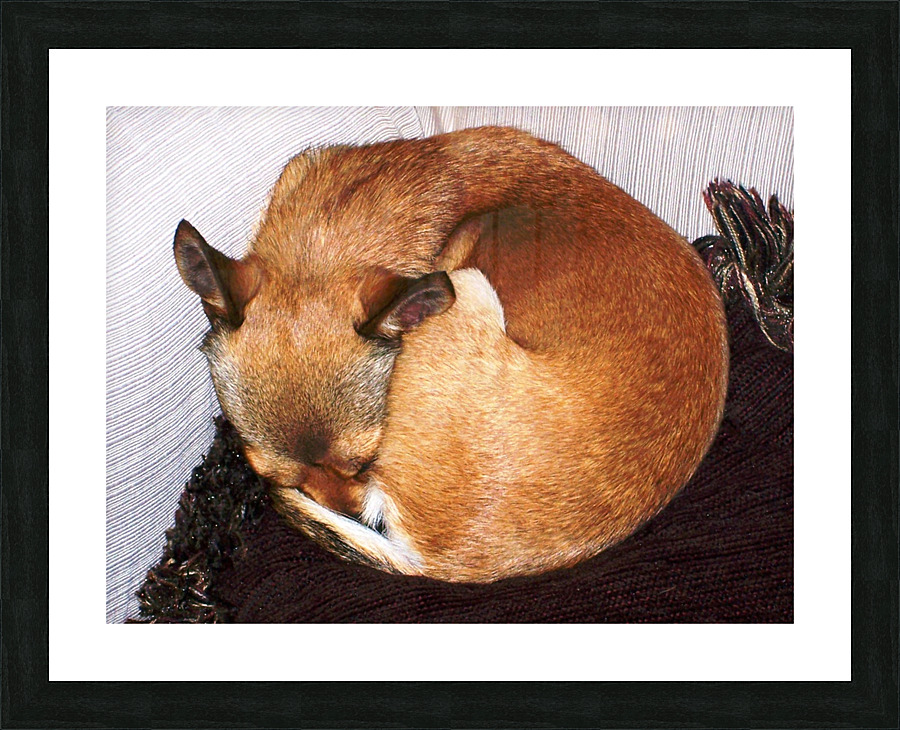 100 3675   Copy Picture Frame print
