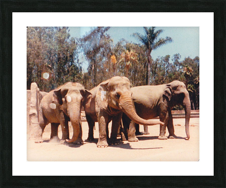 162 Picture Frame print