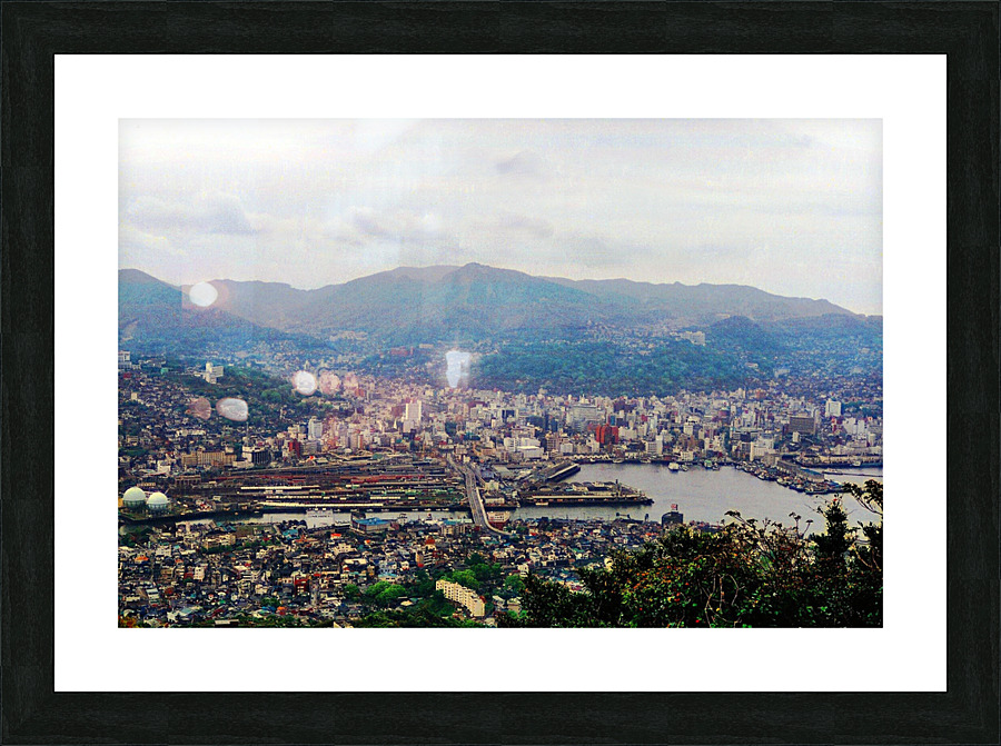 262 Picture Frame print