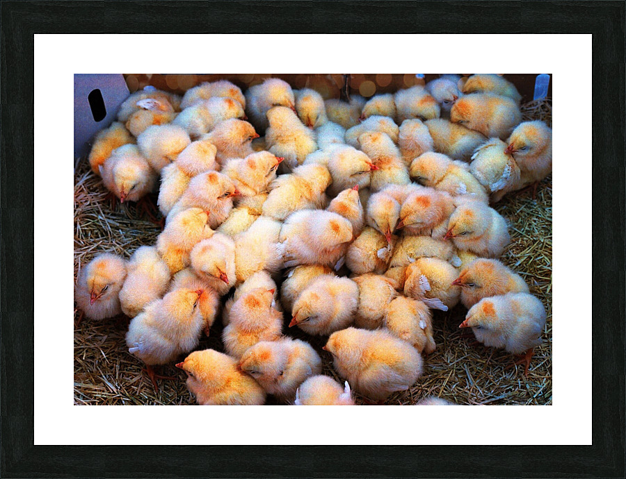 125 edited 1 Picture Frame print