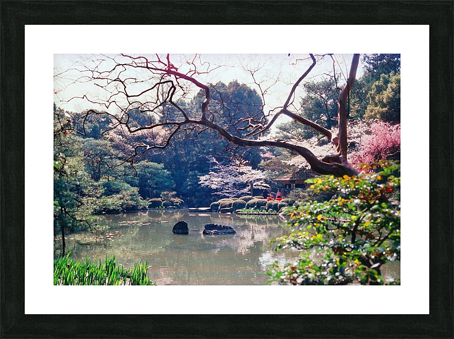 149 Picture Frame print