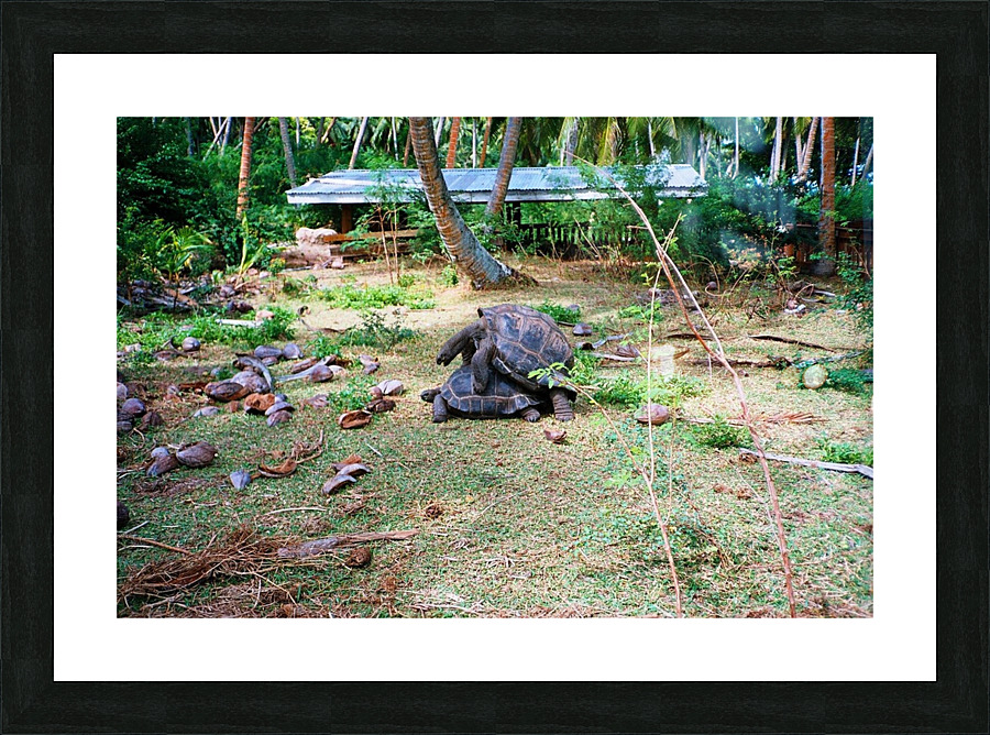33 Picture Frame print