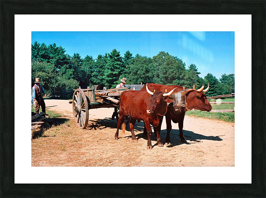 29a edited 2   Copy Picture Frame print
