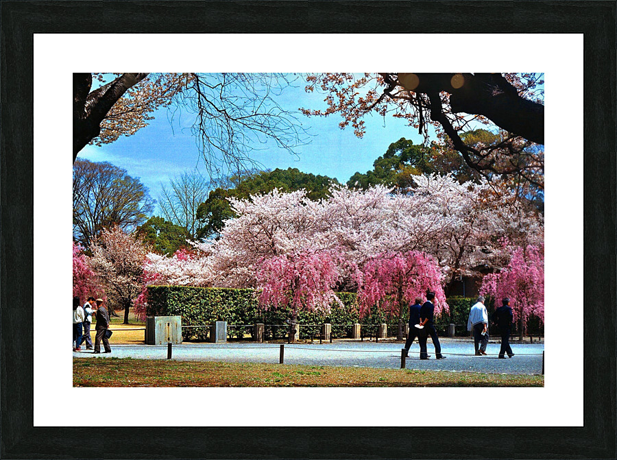136 Picture Frame print