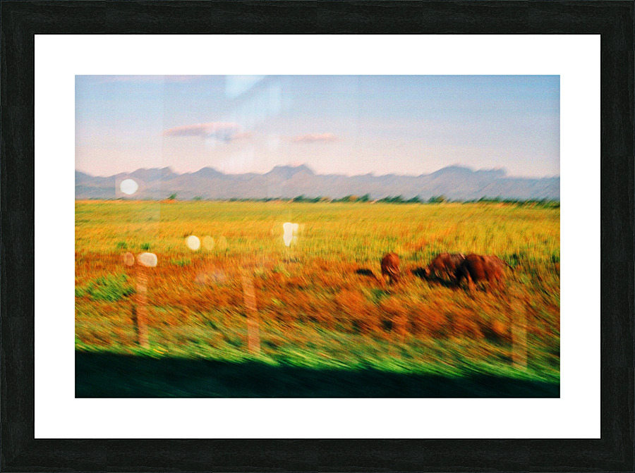 34 Picture Frame print