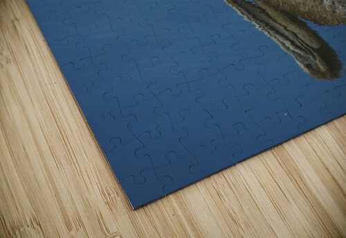Pelican  Edward Levenson puzzle