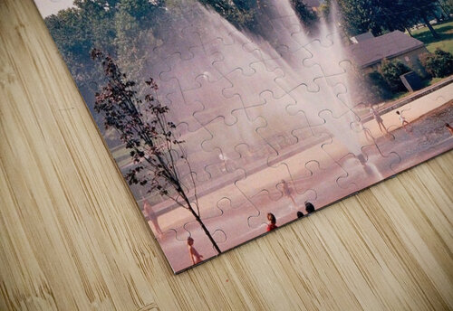 Boston Common Frog Pond Edward Levenson puzzle
