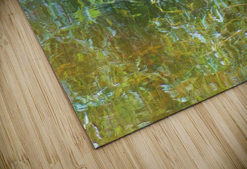 Gator Florida Everglades  Edward Levenson puzzle