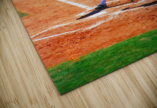 Red Sox Spring Training 2007 Edward Levenson puzzle