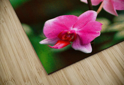Flower Edward Levenson puzzle