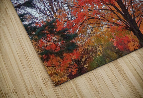 Foliage Edward Levenson puzzle