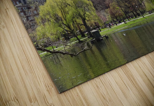 Boston 1990s Edward Levenson puzzle